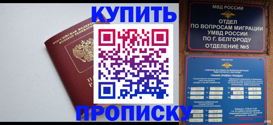 прописка регистрация в Балабаново